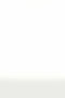Raquel High Waist Flared Legging - Military/White