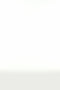 Bailey Active Rib High Waist 7/8 - Heather Military